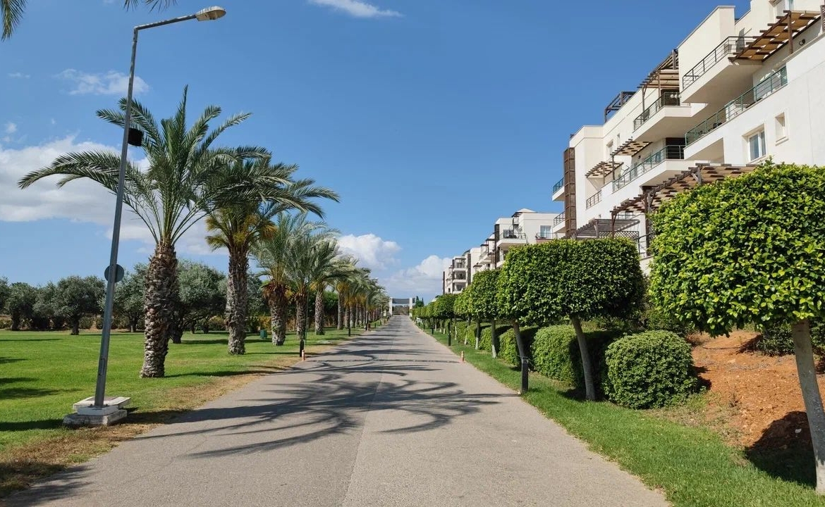 Апартаменты 1+1 в Thalassa Beach Resort